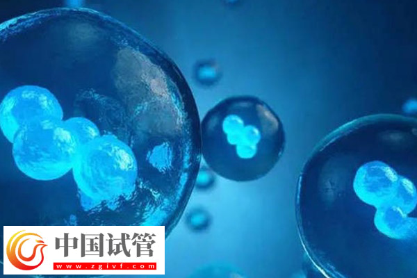 前往柬埔寨冻卵的价格(图2) 前往柬埔寨冻卵的价格(图2)