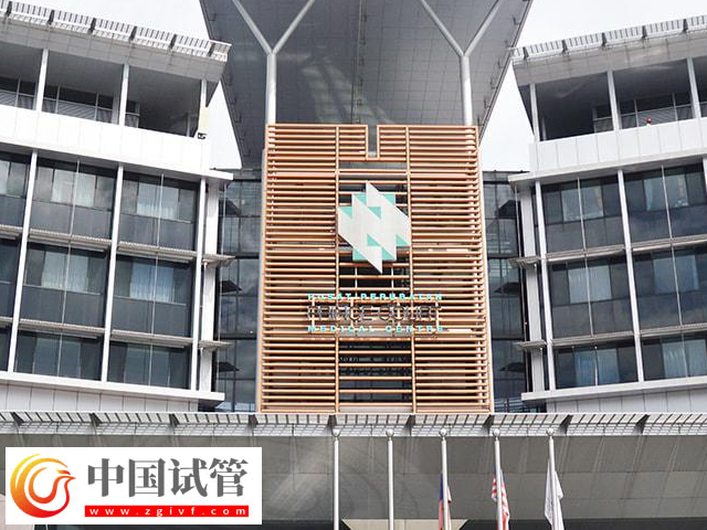 前往马来西亚做试管婴儿选哪家医院好(图2) 前往马来西亚做试管婴儿选哪家医院好(图2)