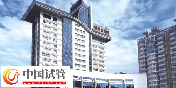 福州总院试管婴儿成功率是多少(图1) 福州总院试管婴儿成功率是多少(图1)