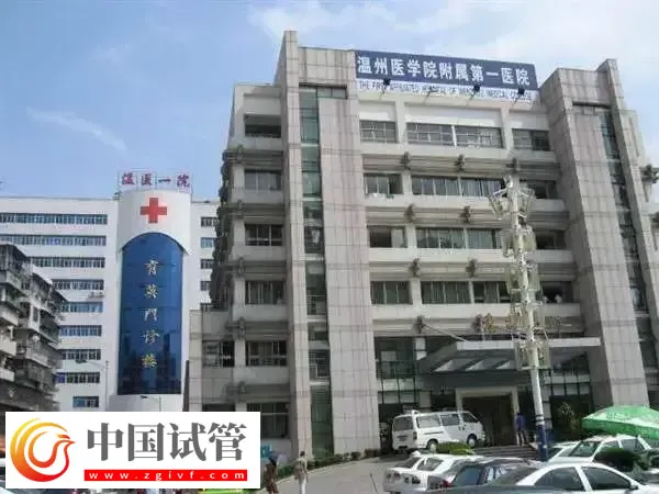 温州附一医试管婴儿成功率多少(图1) 温州附一医试管婴儿成功率多少(图1)
