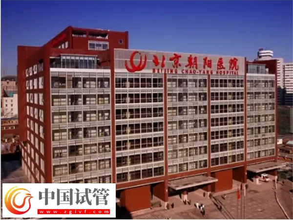 北京朝阳医院试管婴儿费用多少(图1) 北京朝阳医院试管婴儿费用多少(图1)