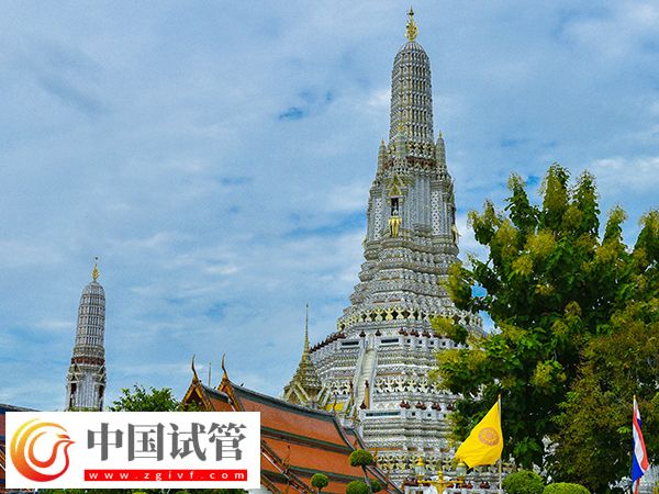 泰国试管婴儿流程(图1)