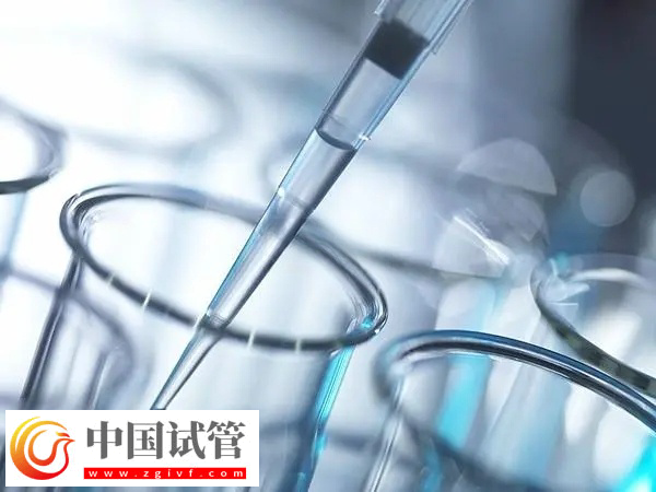 泰国试管婴儿能活多久(图2) 泰国试管婴儿能活多久(图2)