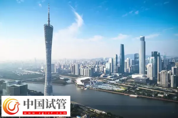 广州单身试管婴儿预约流程(图1)