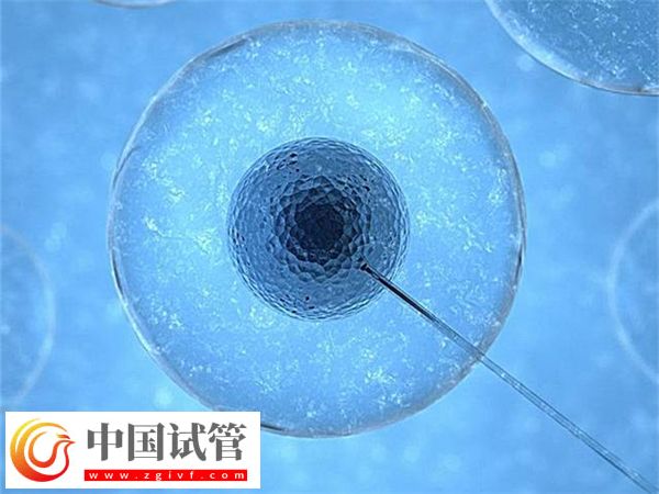 合肥省立医院试管成功率怎么样(图2)