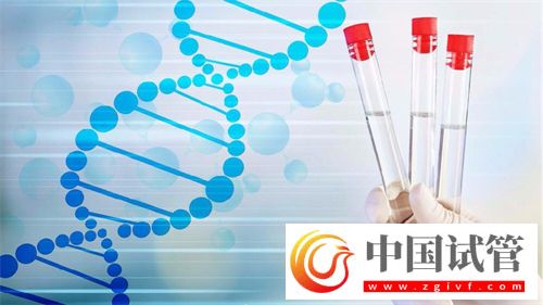 54岁做供卵试管的案例分析!高龄供卵试管如何调理身体(图1) 54岁做供卵试管的案例分析!高龄供卵试管如何调理身体(图1)