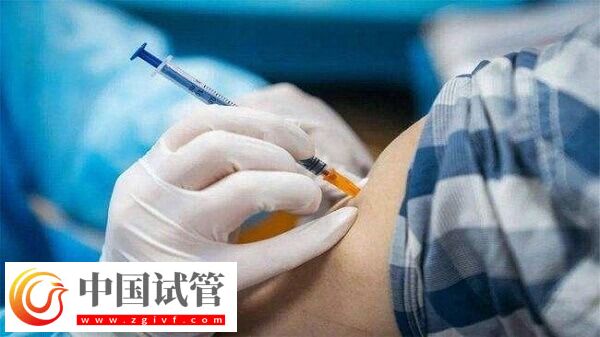 试管婴儿什么情况下打乐芮(图1) 试管婴儿什么情况下打乐芮(图1)