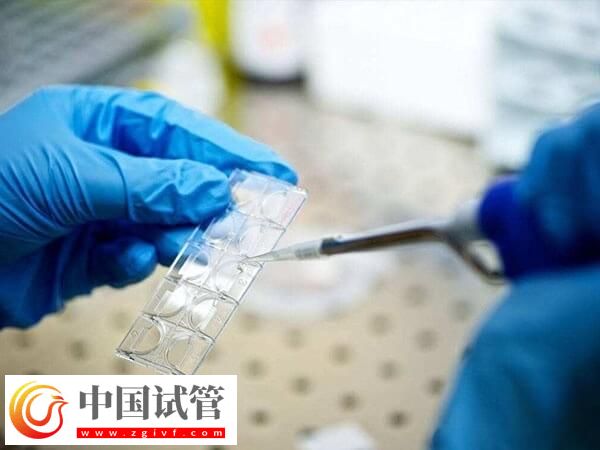 囊胚4aa好还是5bb好(图1) 囊胚4aa好还是5bb好(图1)