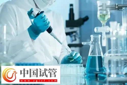 复旦中山医院单身未婚无证怎么做三代试管婴儿生子?(图1) 复旦中山医院单身未婚无证怎么做三代试管婴儿生子?(图1)