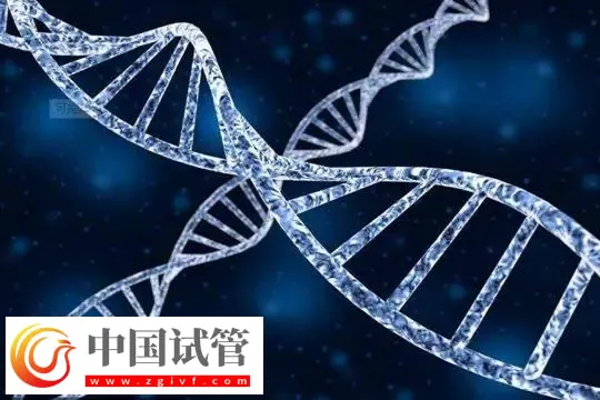 台州医院单身女性怎么生孩子?附单身试管的步骤流程(图1) 台州医院单身女性怎么生孩子?附单身试管的步骤流程(图1)