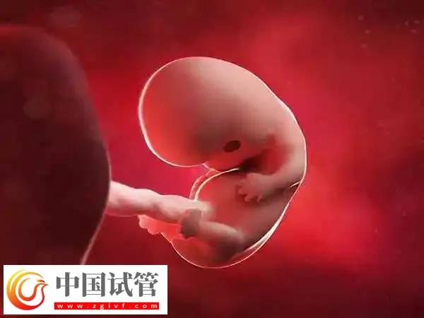 孕妇怀孕八月注意事项有哪些(图1) 孕妇怀孕八月注意事项有哪些(图1)