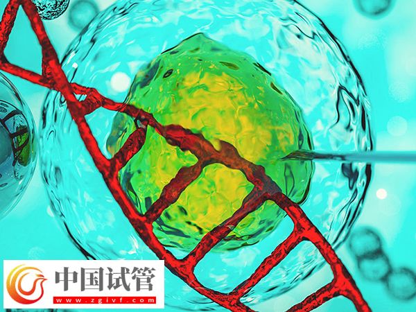 2025加拿大试管过程(图1) 加拿大试管过程(图1)