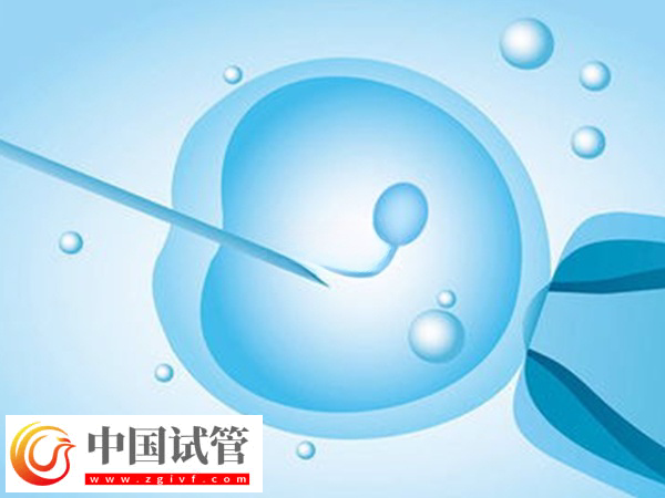 前往加拿大做供精试管的要求是什么(图1) 前往加拿大做供精试管的要求是什么(图1)