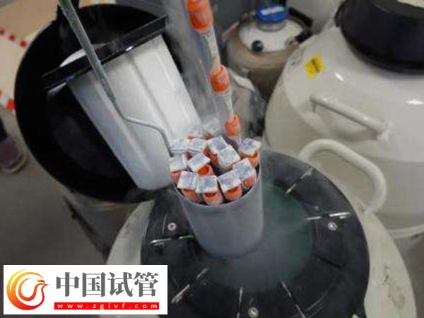 前往加拿大做供精试管的要求是什么(图2) 前往加拿大做供精试管的要求是什么(图2)