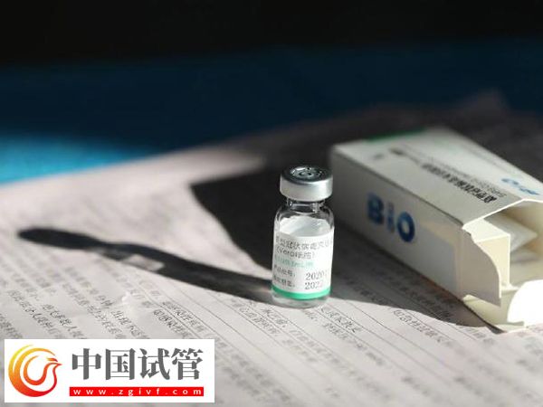 前往西班牙做试管婴儿的费用(图2) 前往西班牙做试管婴儿的费用(图2)