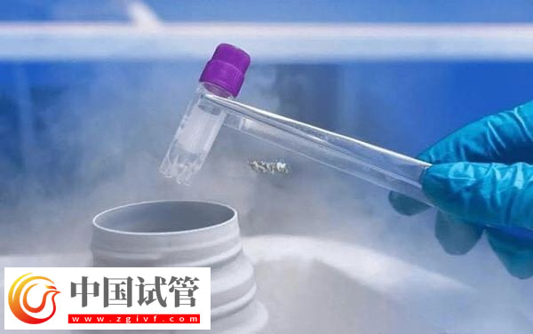 2025加拿大供卵是否违法(图1) 加拿大供卵是否违法(图1)