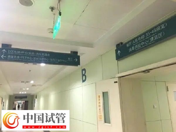 2025加拿大供卵是否违法(图2) 加拿大供卵是否违法(图2)
