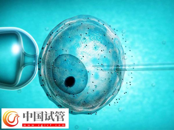 2025加拿大试管一个治疗周期是多久(图1) 加拿大试管一个治疗周期是多久(图1)