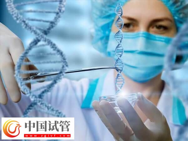 三代试管会不会染色体异常(图1) 三代试管会不会染色体异常(图1)