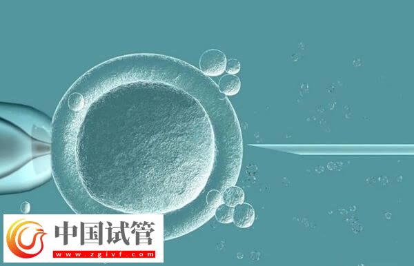 27岁试管婴儿成功率有多少(图2) 27岁试管婴儿成功率有多少(图2)