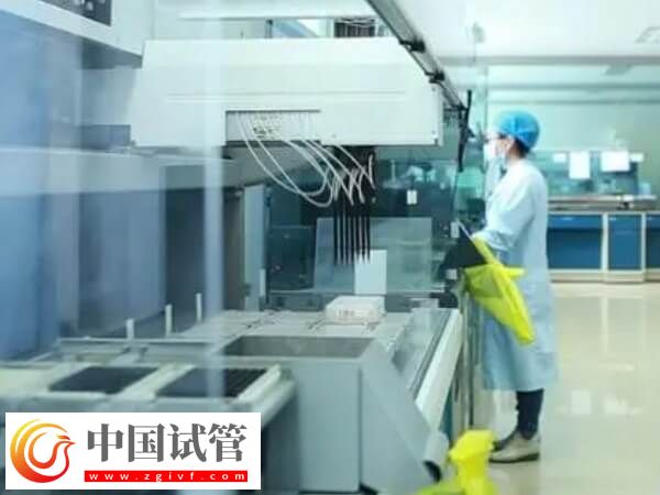 27岁试管婴儿成功率有多少(图1) 27岁试管婴儿成功率有多少(图1)