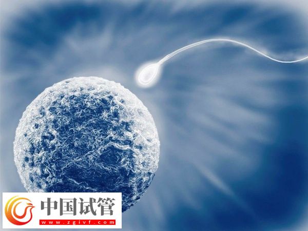 在武汉协和医院申请供精能做几次(图1) 在武汉协和医院申请供精能做几次(图1)