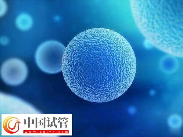 超长方案卵泡少是好事还是坏事(图1) 超长方案卵泡少是好事还是坏事(图1)