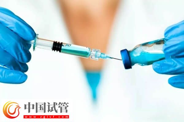 超长方案卵泡少是好事还是坏事(图2) 超长方案卵泡少是好事还是坏事(图2)