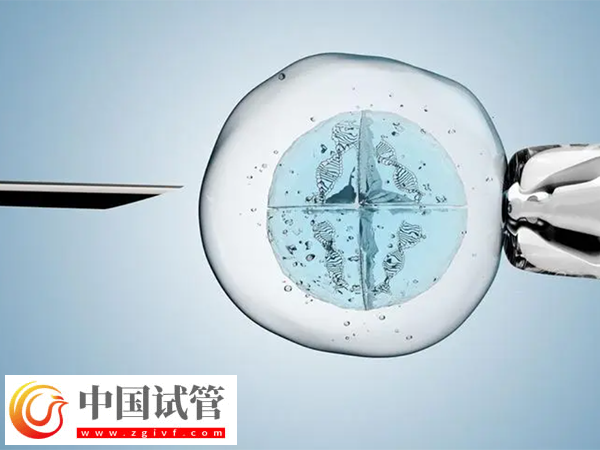 咸宁市中心医院试管注意事项(图2) 咸宁市中心医院试管注意事项(图2)
