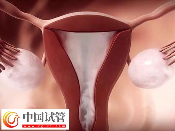 助孕4月后出血原因(图2) 助孕4月后出血原因(图2)