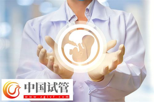 试管婴儿一般做多少次能成功?(图1) 试管婴儿一般做多少次能成功?(图1)