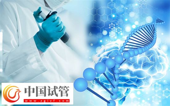 试管婴儿一般做多少次能成功?(图2) 试管婴儿一般做多少次能成功?(图2)