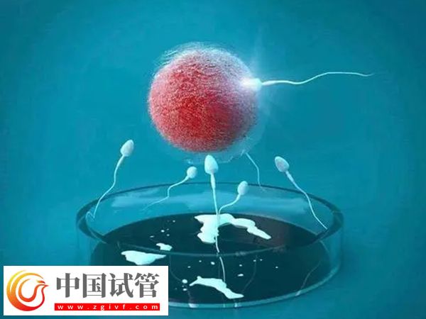 银川附属医院和妇幼保健院做试管哪家好(图1) 银川附属医院和妇幼保健院做试管哪家好(图1)