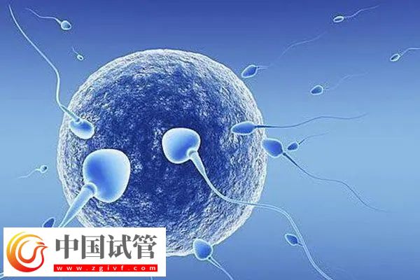 南京做试管医保报销比例(图2) 南京做试管医保报销比例(图2)