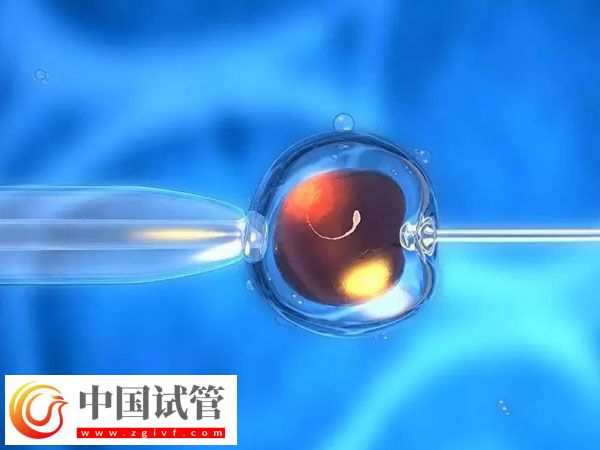 杭州省妇保医院和市一医院做试管哪个好(图2) 杭州省妇保医院和市一医院做试管哪个好(图2)