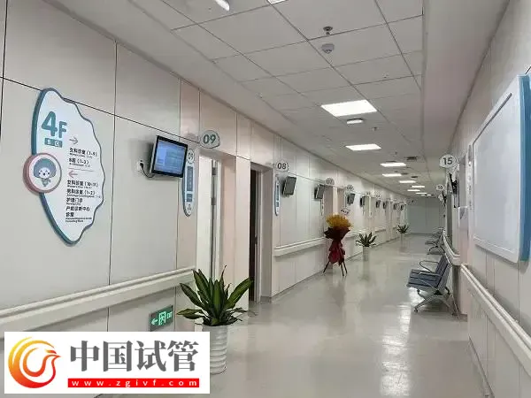 杭州省妇保医院和市一医院做试管哪个好(图4) 杭州省妇保医院和市一医院做试管哪个好(图4)