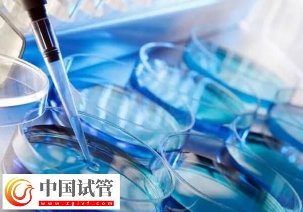 怎样提高胚胎移植着床率(图1) 怎样提高胚胎移植着床率(图1)