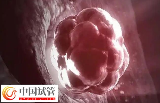 试管婴儿移植后着床时间 试管婴儿移植后胚胎多久能着床?(图1)