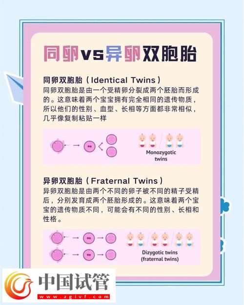 三代试管婴儿双胞胎方案详解(图1) 三代试管婴儿双胞胎方案详解(图1)