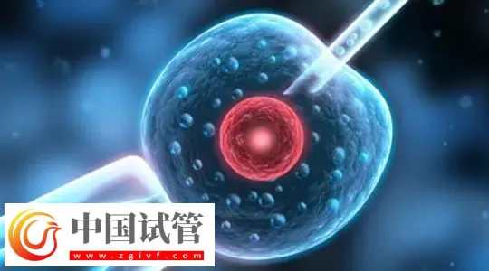 广州哪家做试管婴儿可以包怀上的?首选中山大学附属第一医院(图1) 广州哪家做试管婴儿可以包怀上的?首选中山大学附属第一医院(图1)