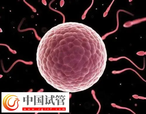 北京做供卵试管不用排队的医院有哪些？这些公立医院纷纷上榜(图1)