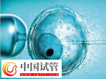 北京做供卵试管不用排队的医院有哪些？这些公立医院纷纷上榜(图3)