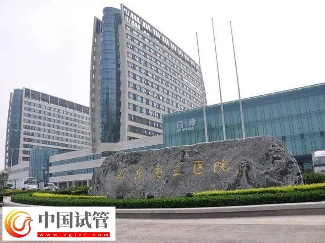 济南2025试管助孕代/怀产子机构名单,附流程与费用介绍(图2) 济南2025试管助孕代/怀产子机构名单,附流程与费用介绍(图2)