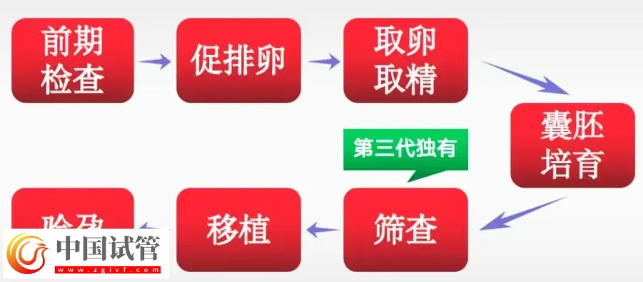 济南2025试管助孕代/怀产子机构名单,附流程与费用介绍(图3) 济南2025试管助孕代/怀产子机构名单,附流程与费用介绍(图3)