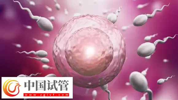 深圳试管助孕怎么样,附费用,流程,机构等信息一览(图1) 深圳试管助孕怎么样,附费用,流程,机构等信息一览(图1)