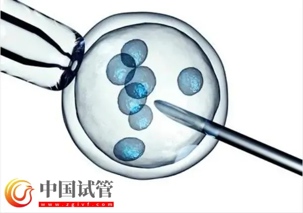 青岛做试管最好的医院top10名单汇总:青岛大学附属医院位列榜首(图1) 青岛做试管最好的医院top10名单汇总:青岛大学附属医院位列榜首(图1)