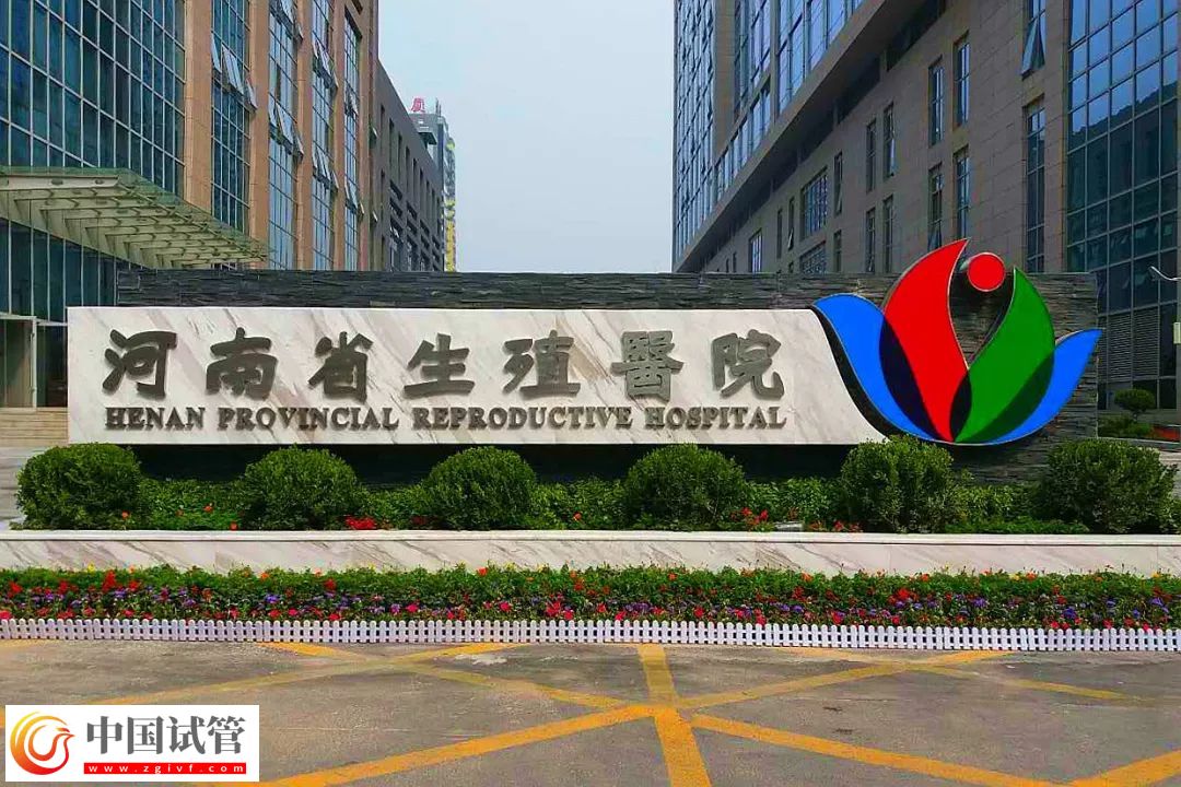 郑州做试管比较出名的医院前三名,附三代包生男孩费用介绍(图2) 郑州做试管比较出名的医院前三名,附三代包生男孩费用介绍(图2)