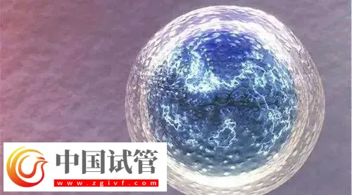 郑州做试管比较出名的医院前三名,附三代包生男孩费用介绍(图1) 郑州做试管比较出名的医院前三名,附三代包生男孩费用介绍(图1)