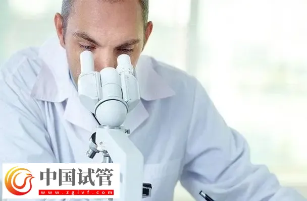 北京试管助孕大概要多少钱?这是2024最新收费标准(图1) 北京试管助孕大概要多少钱?这是新收费标准(图1)