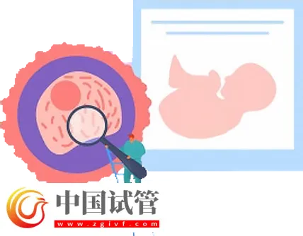 北京试管助孕大概要多少钱?这是2024最新收费标准(图2) 北京试管助孕大概要多少钱?这是新收费标准(图2)